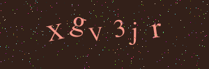 Validation image